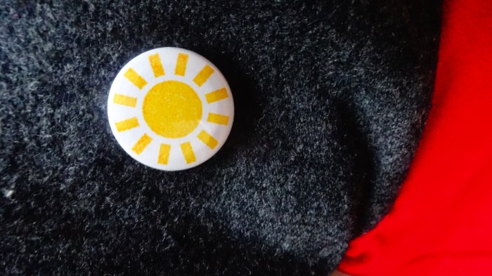sunny badge
